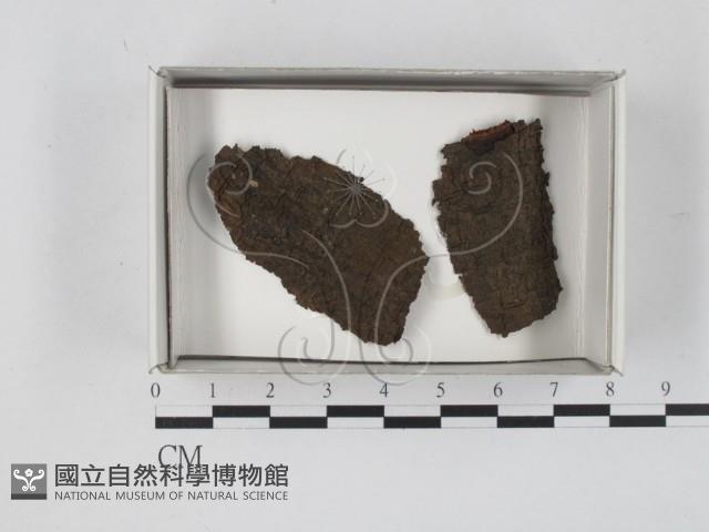 登錄號:F0018590藏品圖，第1張