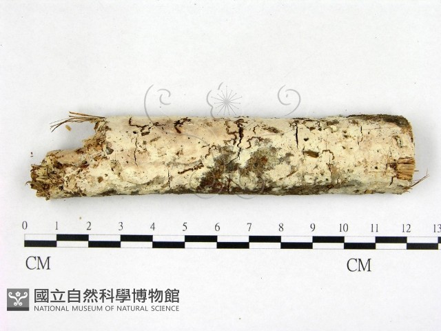 登錄號:F0022590藏品圖，第1張