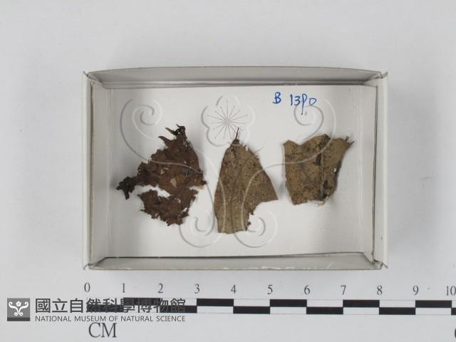登錄號:F0018190藏品圖，第1張