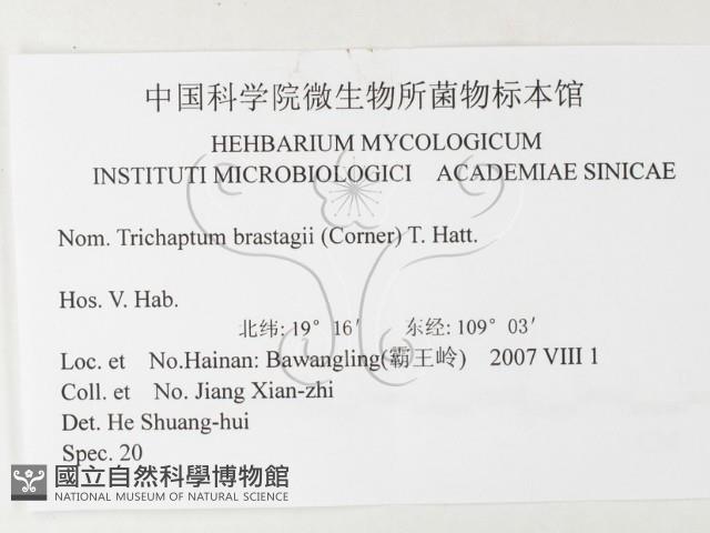 登錄號:F0026190藏品圖，第3張