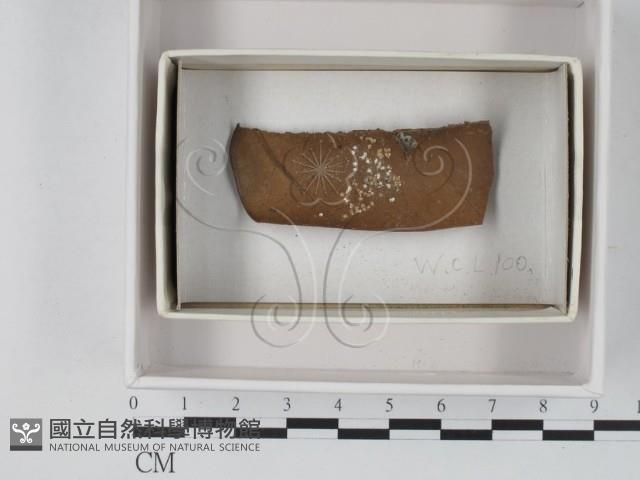 登錄號:F0021190藏品圖，第1張
