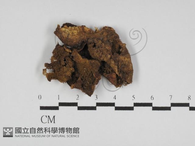 登錄號:F0031190藏品圖，第1張