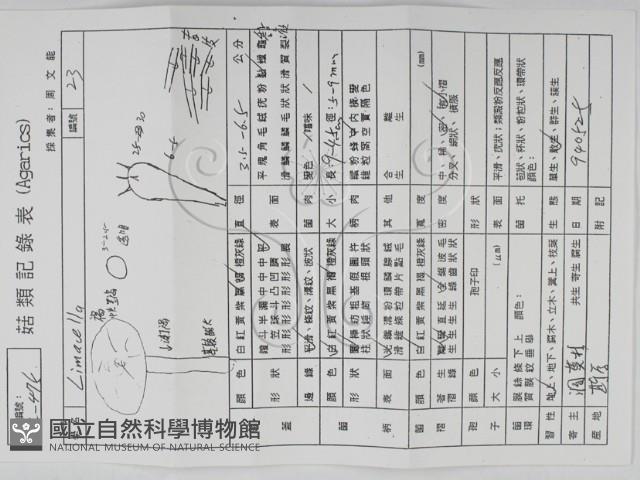 登錄號:F0002190藏品圖，第3張