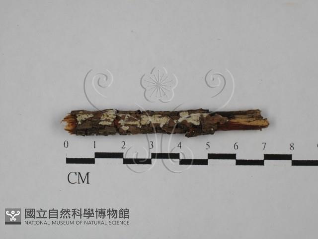 登錄號:F0027190藏品圖，第1張