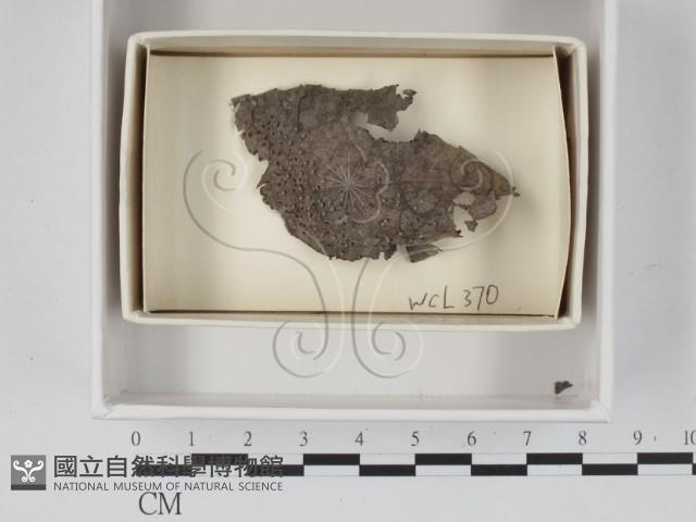 登錄號:F0018090藏品圖，第1張