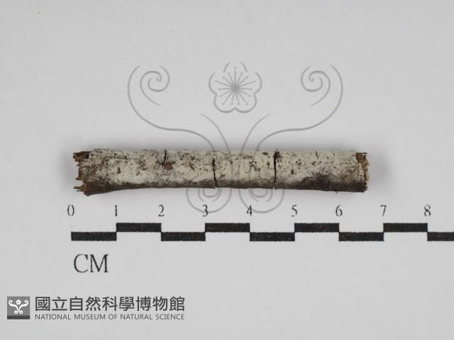 登錄號:F0030090藏品圖，第1張