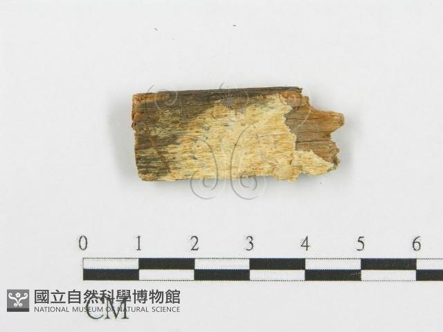 登錄號:F0006090藏品圖，第1張