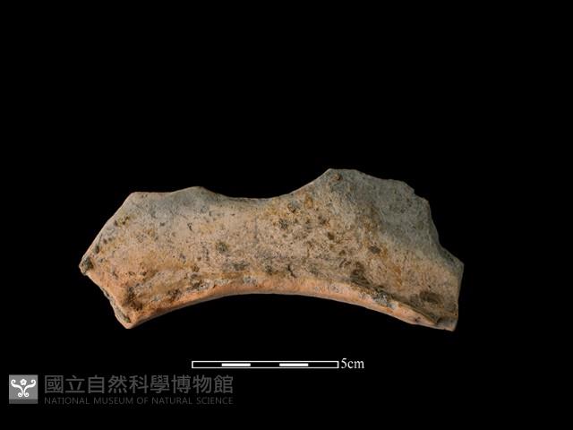 連杯形器藏品圖，第1張