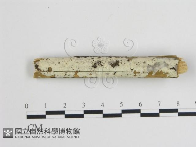 登錄號:F0009090藏品圖，第1張