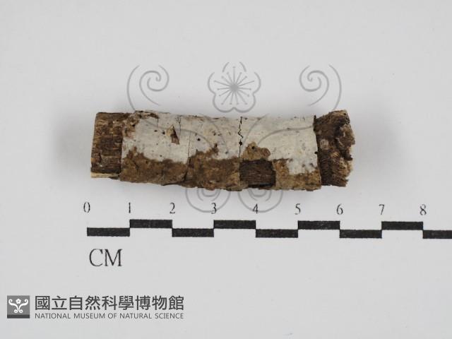 登錄號:F0030390藏品圖，第1張