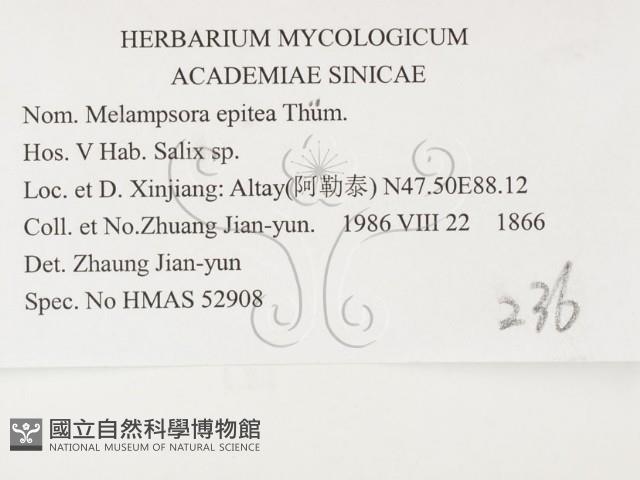 登錄號:F0026390藏品圖，第3張