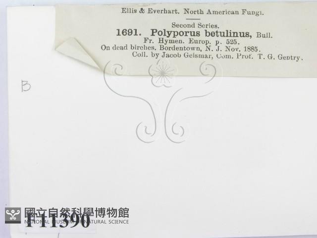 登錄號:F0011390藏品圖，第3張