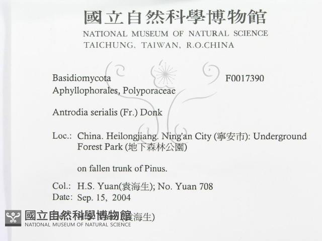登錄號:F0017390藏品圖，第3張