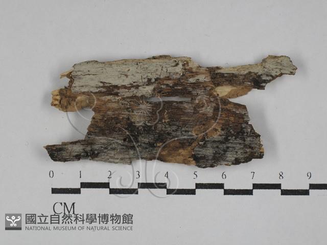 登錄號:F0029390藏品圖，第1張