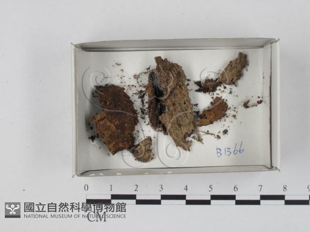 登錄號:F0018280藏品圖，第1張