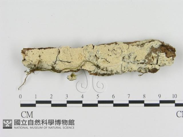 登錄號:F0009280藏品圖，第1張