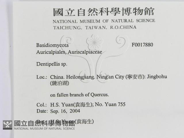 登錄號:F0017880藏品圖，第3張