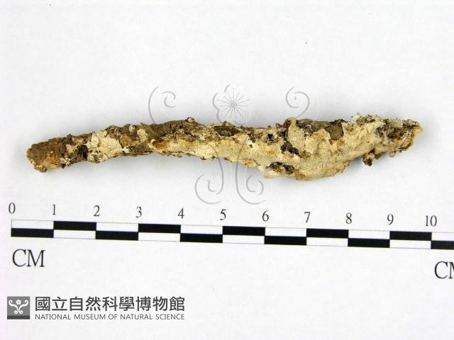 登錄號:F0019880藏品圖，第1張