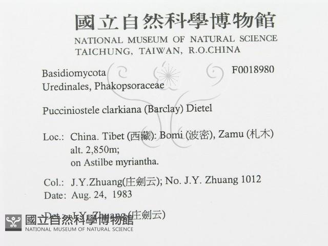 登錄號:F0018980藏品圖，第3張