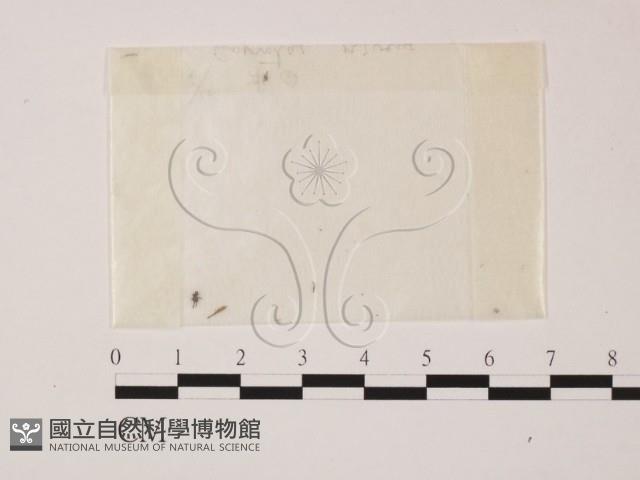 登錄號:F0001980藏品圖，第1張