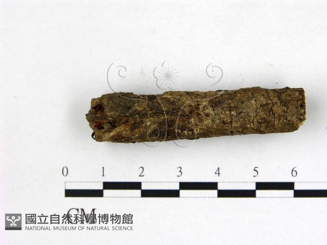 登錄號:F0007980藏品圖，第1張