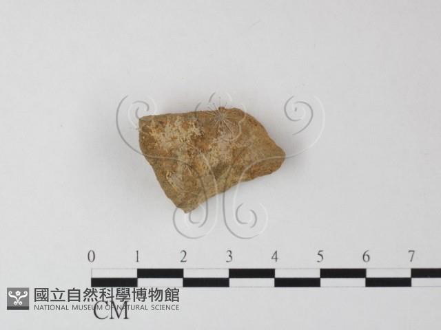 登錄號:F0023980藏品圖，第1張