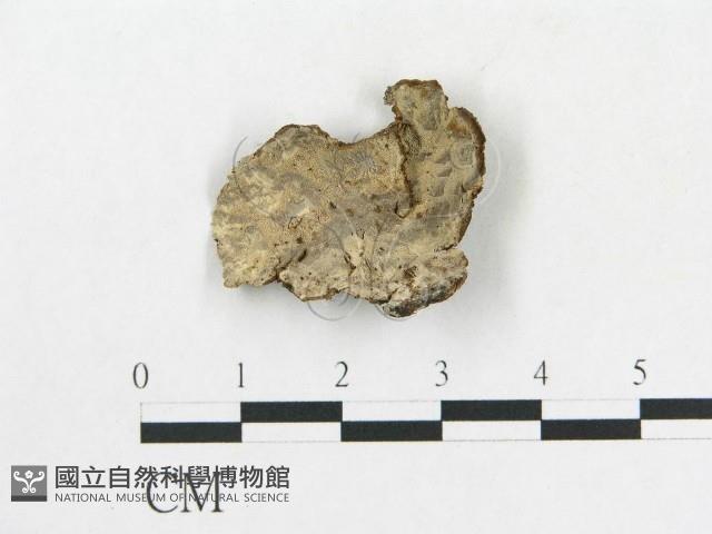 登錄號:F0018680藏品圖，第1張