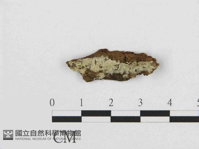 Accession Number:F0014680 Collection Image, Figure 1, Total 4 Figures