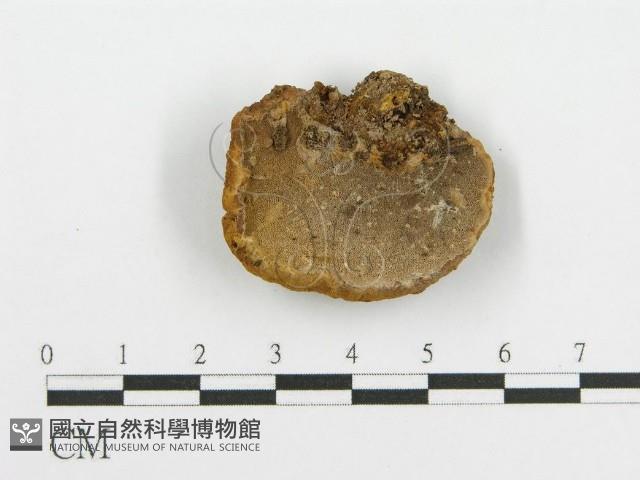 登錄號:F0012680藏品圖，第1張
