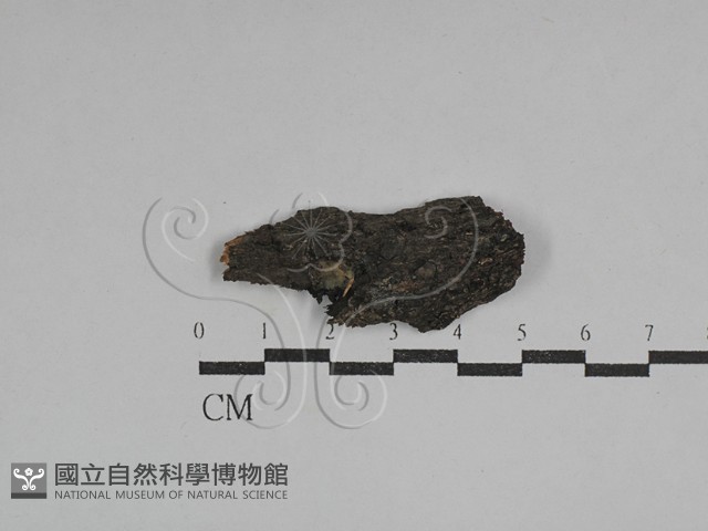 登錄號:F0029680藏品圖，第1張