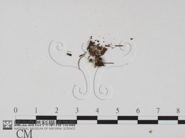 登錄號:F0019680藏品圖，第1張