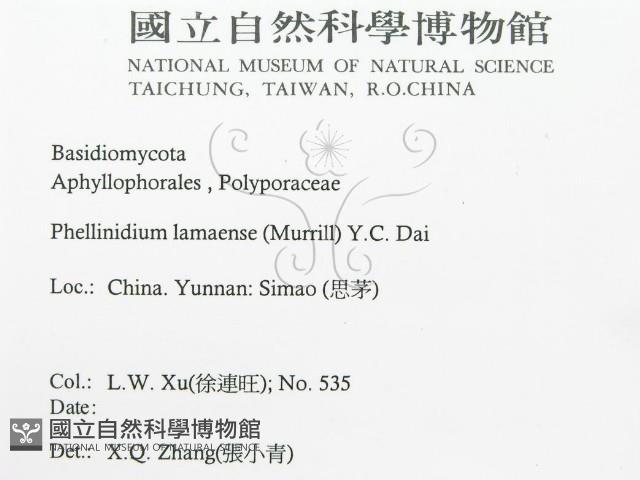 登錄號:F0016480藏品圖，第3張