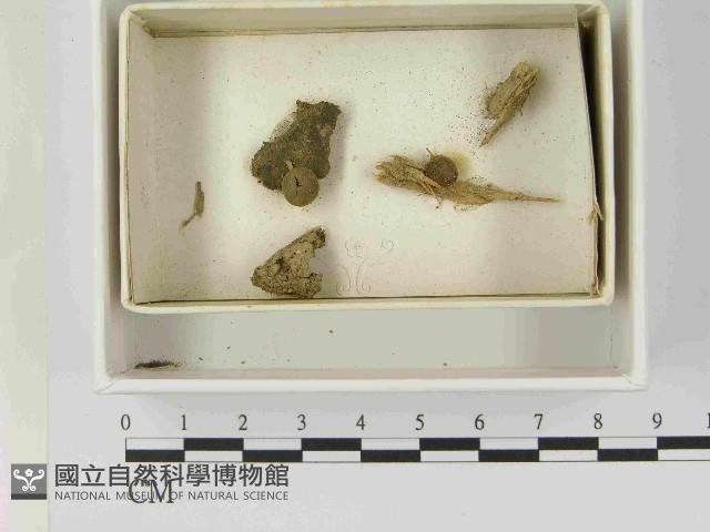 登錄號:F0021480藏品圖，第1張