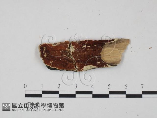 館號:F0009480藏品圖，第1張