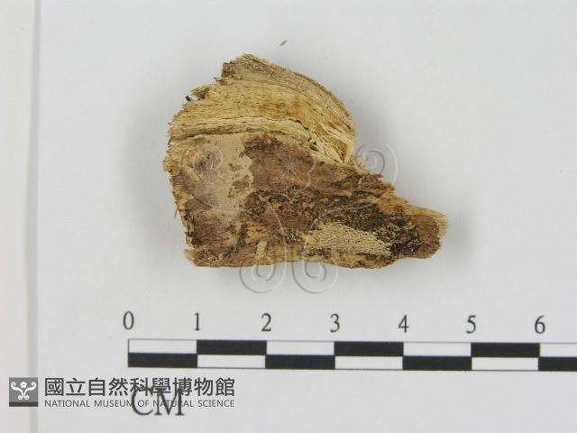 登錄號:F0016780藏品圖，第1張