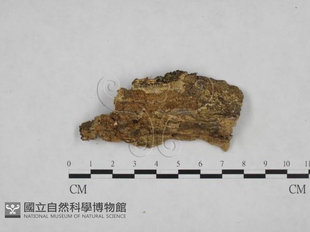 登錄號:F0024780藏品圖，第1張