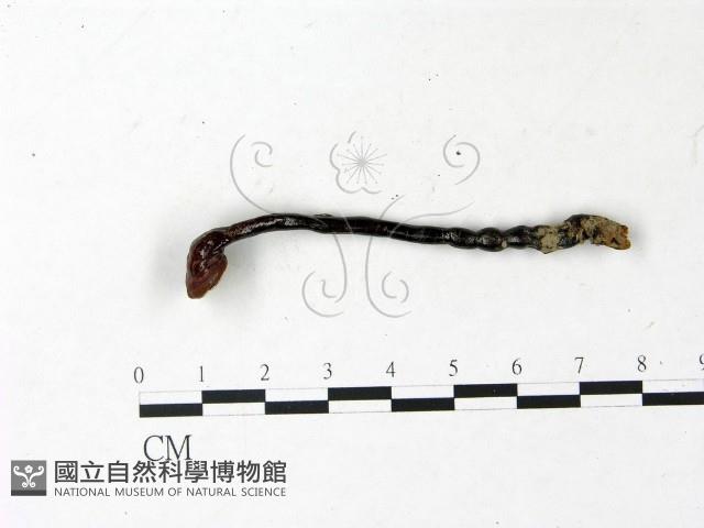 登錄號:F0022780藏品圖，第1張