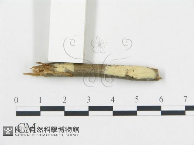 登錄號:F0002780藏品圖，第1張