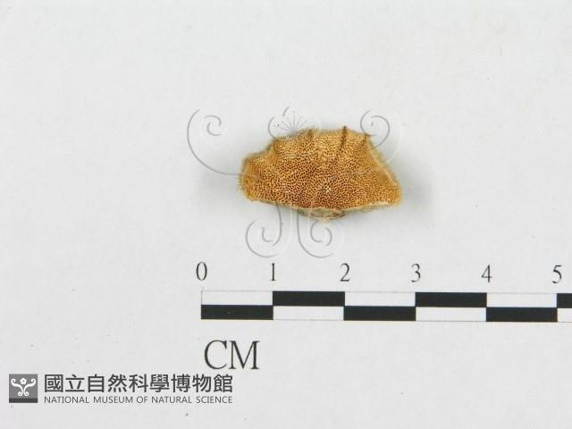 Accession Number:F0009780 Collection Image, Figure 1, Total 3 Figures