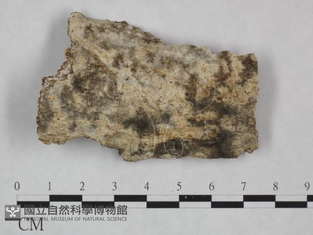 登錄號:F0023780藏品圖，第1張