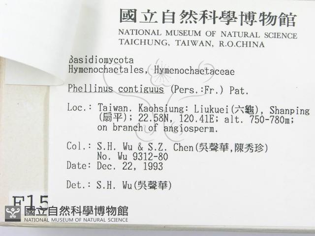 登錄號:F0001580藏品圖，第3張