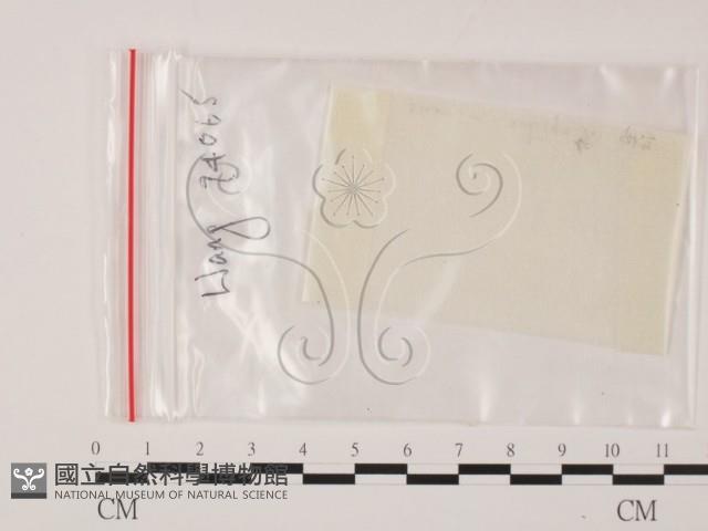 登錄號:F0002580藏品圖，第1張