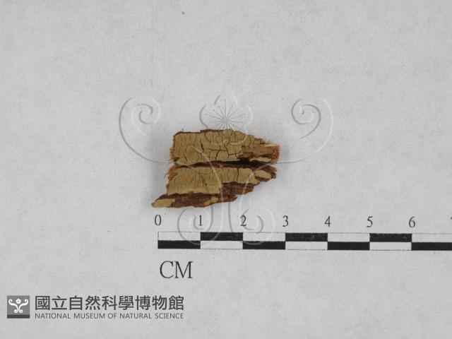 登錄號:F0028180藏品圖，第1張