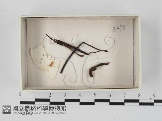 登錄號:F0018180藏品圖，第1張