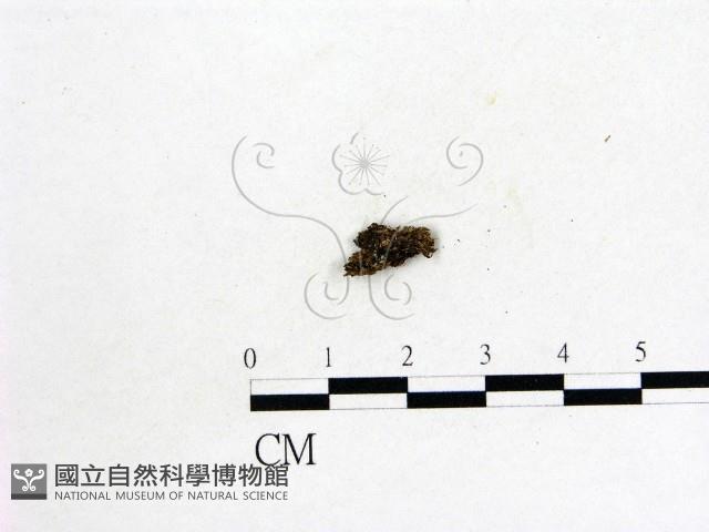 登錄號:F0000180藏品圖，第1張