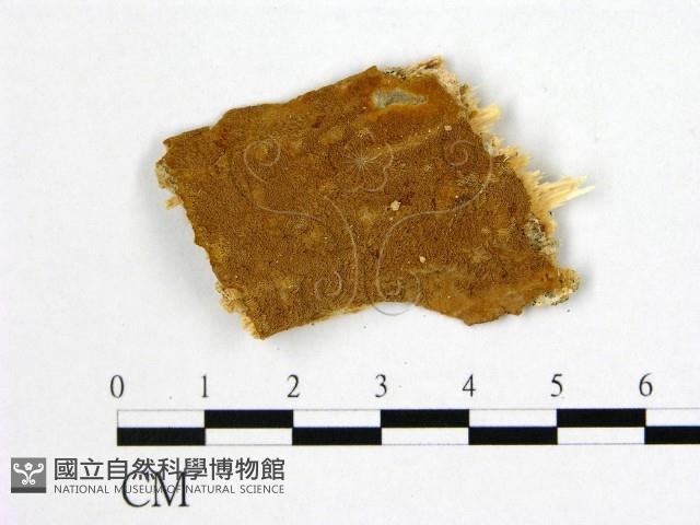 登錄號:F0006180藏品圖，第1張