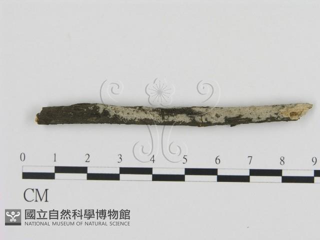 登錄號:F0012180藏品圖，第1張