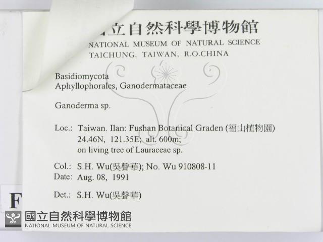 登錄號:F0015180藏品圖，第3張