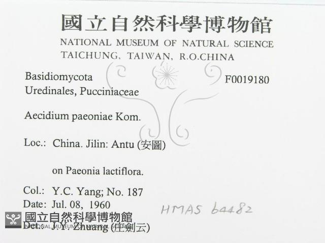 登錄號:F0019180藏品圖，第3張