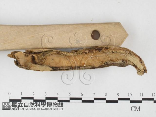 登錄號:F0003180藏品圖，第1張